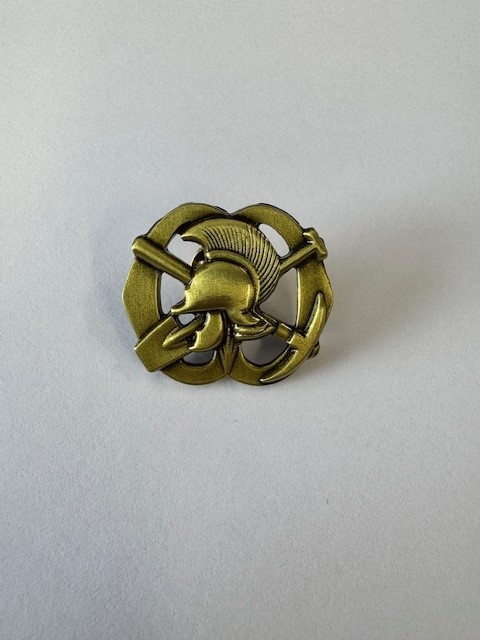 Mini baretembleem Pioniers