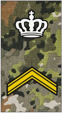 IR ROT SGT Instr GW NFP Green